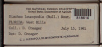 Image Associated With the Occurence